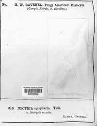 Image Associated With the Occurence